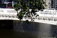 Larger version of Family of ducks pass under the white bridge at the estuary in Vina del Mar.