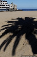 Shadow of a palm tree on the beach with Wulff Castle beside the sea in Vina del Mar. Chile, South America.