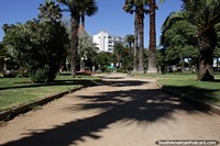 Plaza Colombia en Viña del Mar es hermosa y verde con altas palmeras y jardines. Chile, Sudamerica.