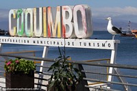The seagull agrees that Coquimbo is a great place to be on a sunny day.
