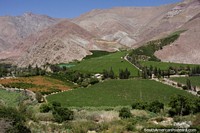 Beautiful and green Elqui Valley in the area around Paihuano.
