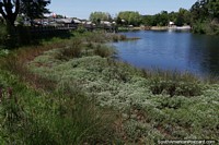Costanera Puerto Octay, a place to relax beside the water with walking platforms.