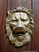 Gold lion head on a dark brown wooden door in Cartagena.