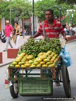 A man with a cart of mangos and mamons in Santa Marta.