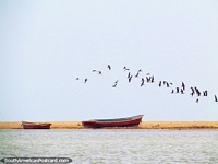 Large group of birds fly around the edge of the lagoon in Camarones.