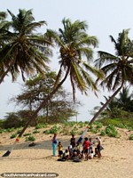 Crianças abaixo das palmeiras na praia em Camarones. Colômbia, América do Sul.