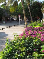 Colombia Photo - The western end of the main street in Taganga beside the beach.
