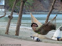 Colombia Photo - Man sleeps in a hammock beside the beach at dawn in Taganga.