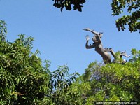 O monumento de revolução que marcha acima das árvores em Valledupar. Colômbia, América do Sul.