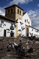 Os pombos voam em frente da igreja em Villa de Leyva - construïdo entre 1608 e 1665. Colômbia, América do Sul.