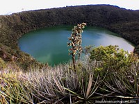 Cacique Laguna de Guatavita - sagrada, excursiones durante todo el día desde Guatavita. Colombia, Sudamerica.