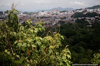 Ibague city in the distance, view from the Mirador Sindamanoy lookout point at San Jorge Botanical Gardens. Colombia, South America.
