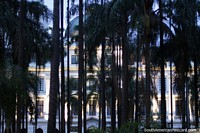 Tall trees in Cayzedo Plaza (Plaza de Cayzedo) and the Justice Palace in central Cali. Colombia, South America.