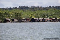 Shanty shacks backed by thick jungle northward off the coast of Buenaventura. Colombia, South America.