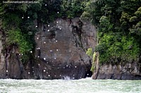 Caves beside the sea in the area near Hotel Maguipi, coast of Buenaventura. Colombia, South America.