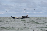 4 pelicanos voam acima de um pescador solitário da costa de Buenaventura. Colômbia, América do Sul.