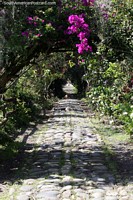 Caminho da Senhora Ferreiro, caminho de pedra que conduz através de um túnel natural feito de vegetação no Jardin. Colômbia, América do Sul.