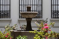 Fuente de piedra y bonitos jardines de flores alrededor de prestigiosos edificios en Popayán. Colombia, Sudamerica.