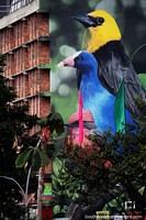 Huge mural of 3 native birds, yellow, blue and pink, painted onto a building in Bogota.