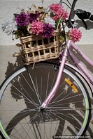 Bicycle with a basket of flowers stands outside a shop in Paipa, part of the decor.
