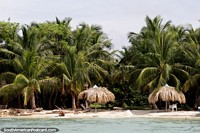 Beach with palms and shade in the Gulf of Morrosquillo, Tolu. Colombia, South America.