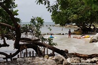 Versión más grande de La familia disfruta de la playa y los agradables alrededores de la isla Tintipan con muchos árboles alrededor.