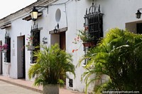 Colombia Photo - Facades fronted with plants and flowers make Mompos a special place to visit.