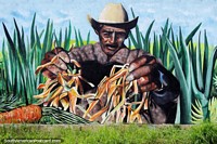 Man with a hat picks the produce from the harvest, mural in Cucuta.
