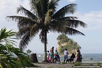 Praia do Morro com uma ilhota na baía e gente sob uma palmeira. Colômbia, América do Sul.