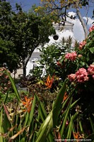 Versión más grande de El Parque Principal en Santa Fe de Antioquia tiene hermosos jardines de flores, árboles y la catedral.