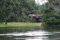 Casa de la selva de los indígenas en el lago Yahuarkaka en Leticia. Colombia, Sudamerica.
