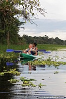 Busque aves y vida silvestre en los árboles en kayak en el lago Yahuarkaka, Leticia. Colombia, Sudamerica.