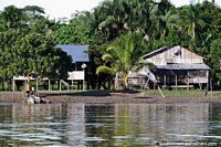 Amazon living beside the river, large wooden houses among trees around Leticia.