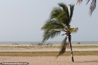 Open beachfront with sand and sea in Riohacha.