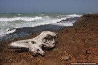 Litoral nu com rocha slida e crocante voltada para o mar agitado em Kama'aichi, Cabo de la Vela.