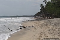 Las olas rompen a lo largo de la playa Palomino en la Guajira, un entorno agradable.