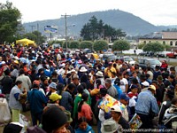 By mid-morning on saturday the animal market in Otavalo is very busy. Ecuador, South America.