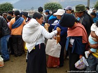 Los cobayos son el otro animal principal en los mercados de Otavalo. Ecuador, Sudamerica.