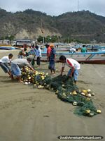 Pescadores em Porto Lopez que desemaranha as redes de pesca na praia. Equador, América do Sul.
