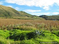 Beautiful countryside, hills and fields between Quito and Mindo. Ecuador, South America.