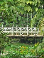 The bridge in the jungle beside the river in Tena. Ecuador, South America.