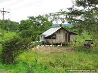 Casa de madeira no mato de Tena a Puyo. Equador, América do Sul.