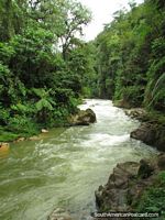 O rio da vigia em parque nacional Podocarpus, Zamora. Equador, América do Sul.