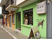 Caballos Gavilan, viajes del caballo en Vilcabamba. Ecuador, Sudamerica.