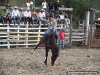 Versão maior do Homem em um cavalo no rodeio em Vilcabamba.