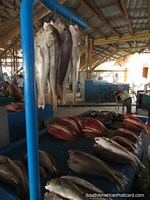 O mercado de peixes atrás da praia em Tarqui em Manta. Equador, América do Sul.