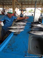 Man poses for photo at the fish markets at Tarqui Beach in Manta. Ecuador, South America.