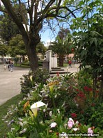 Larger version of Beautiful park in Latacunga - Parque la Filantropia with trees and gardens.