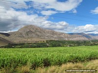 Pastos verde vivo y montañas grises marrones al norte de Ibarra. Ecuador, Sudamerica.