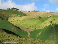 Pastos verdes y tierras de labranza al sur de Tulcan. Ecuador, Sudamerica.